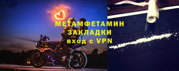 сатива Гусь-Хрустальный