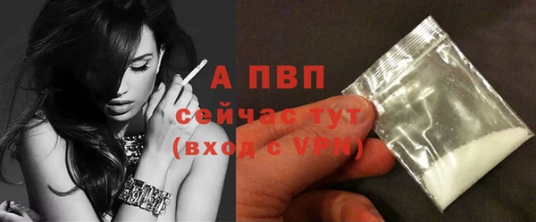 сатива Гусь-Хрустальный