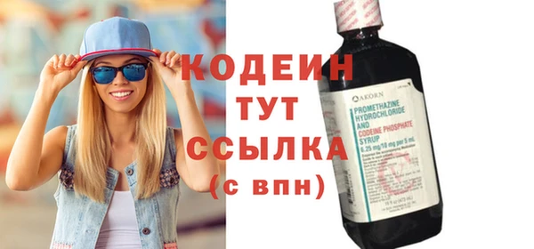 сатива Гусь-Хрустальный