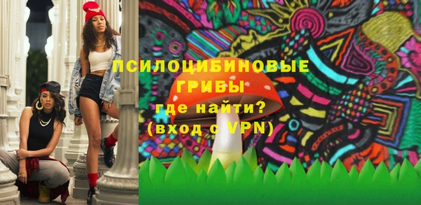 крисы Белокуриха