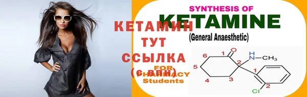 крисы Белокуриха