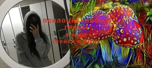 крисы Белокуриха