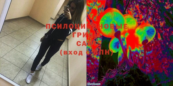 трава Беломорск