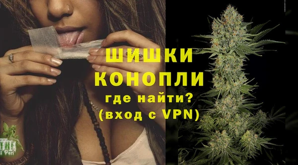 крисы Белокуриха