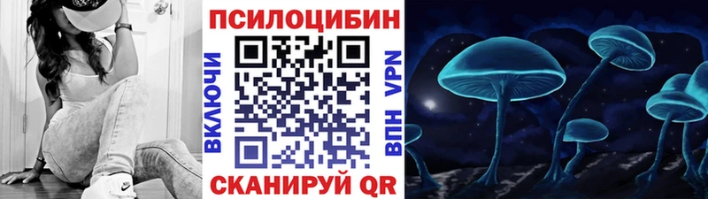 Псилоцибиновые грибы Psilocybine cubensis  Купить  Боровичи 