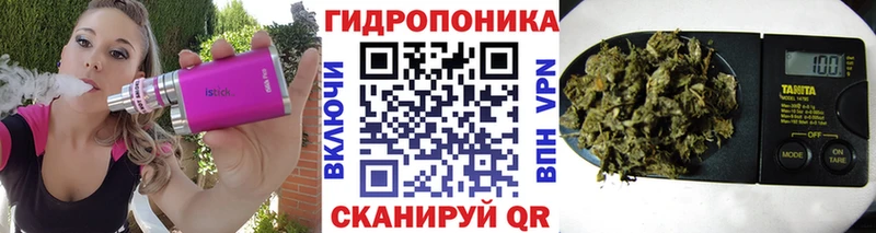 Канабис Amnesia  Купить  Боровичи 
